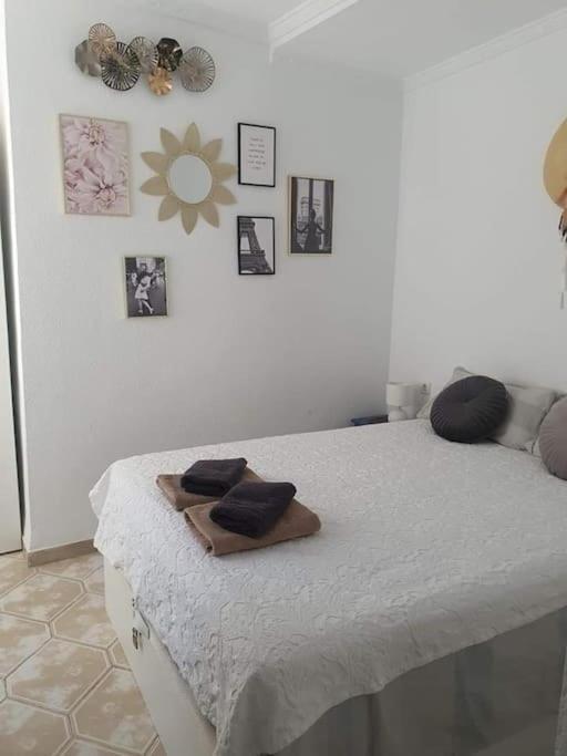 Costa Blanca Family Apartments One Bedroom Apartment Torrevieja Bagian luar foto